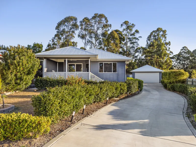 Your Home a Bird Haven