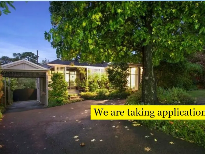 A Captivating Ambience