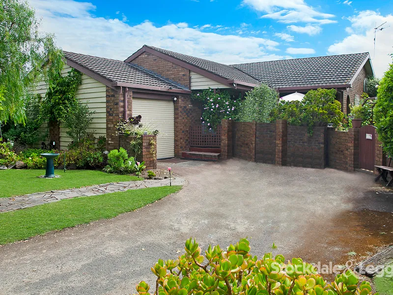 Central with Potential!