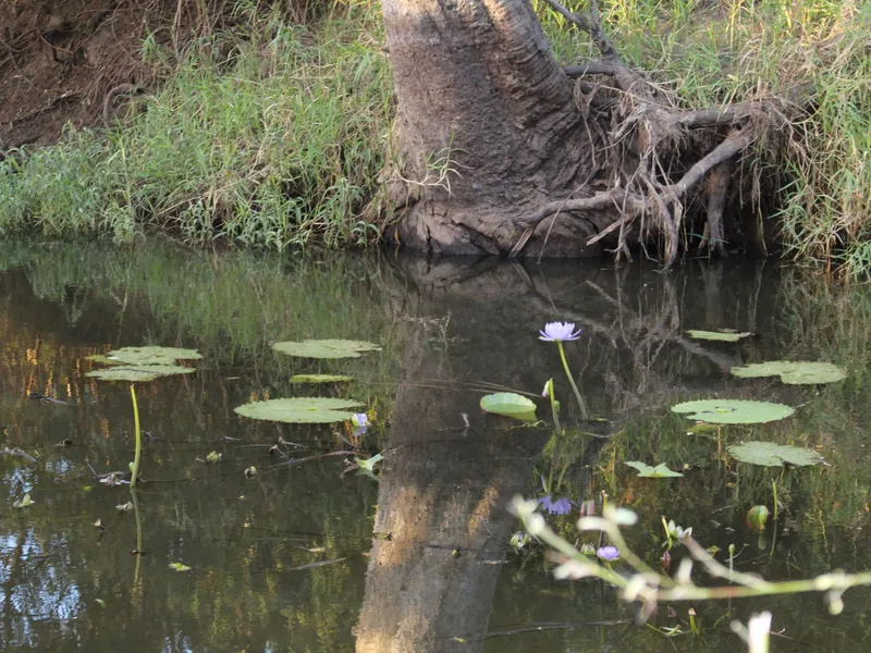 250 Acres of Usable Country with Plenty of Water