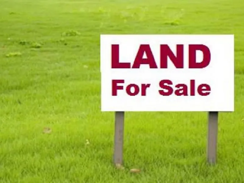 Build Your Dream Home