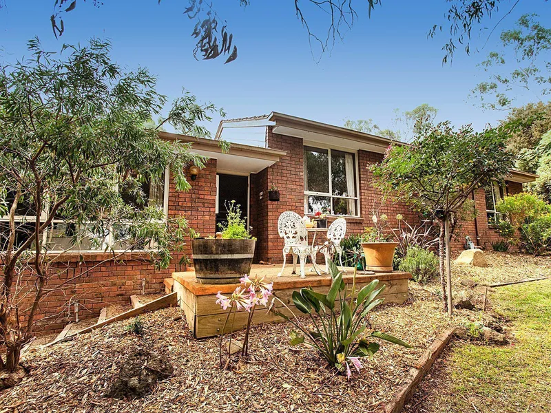 Family retreat in a beautiful bush setting