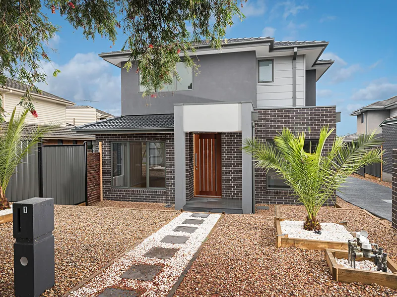 Why Settle For Less!