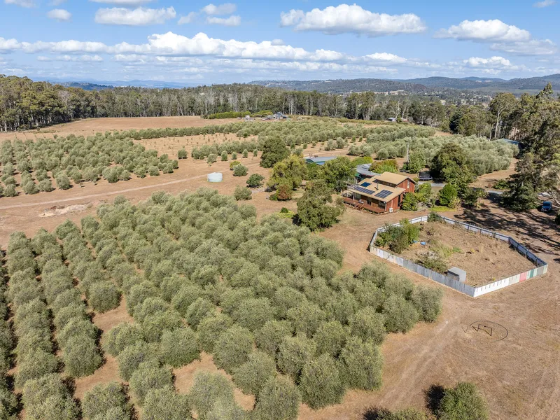 Escape to the country - stunning lifestyle opportunity with income benefit