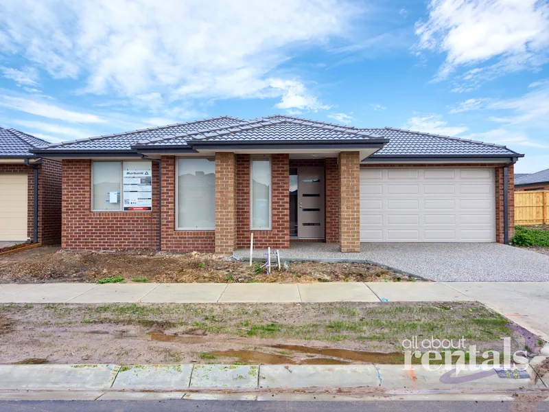 Arcadia Estate - 4 Bedroom Burbank Home!