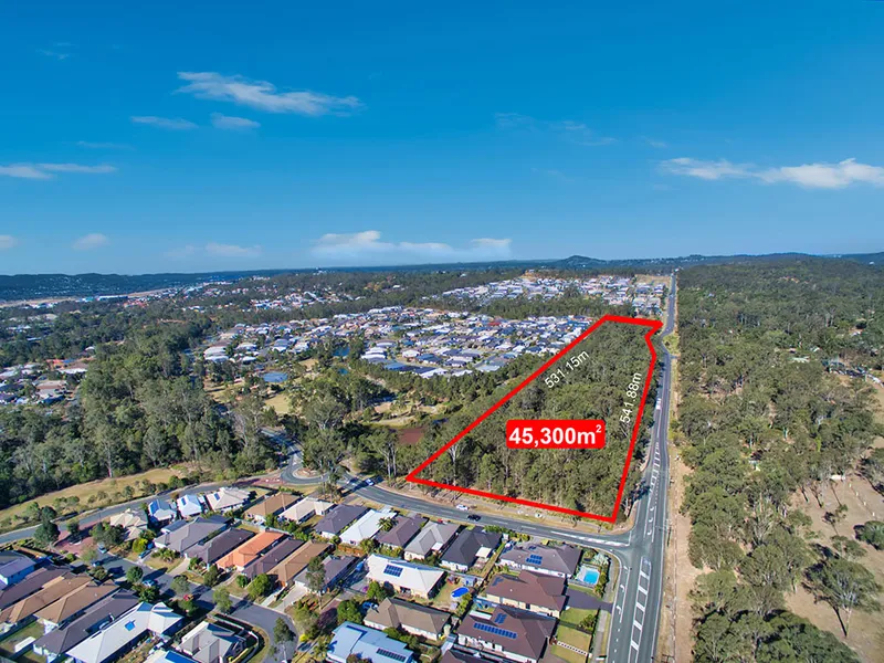 Investment Opportunity