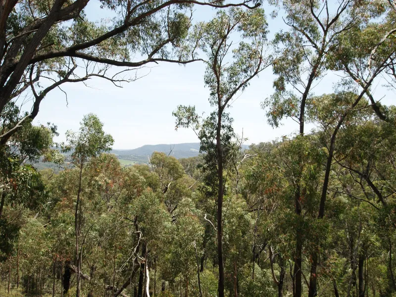Picturesque 17 acres of private bushland
