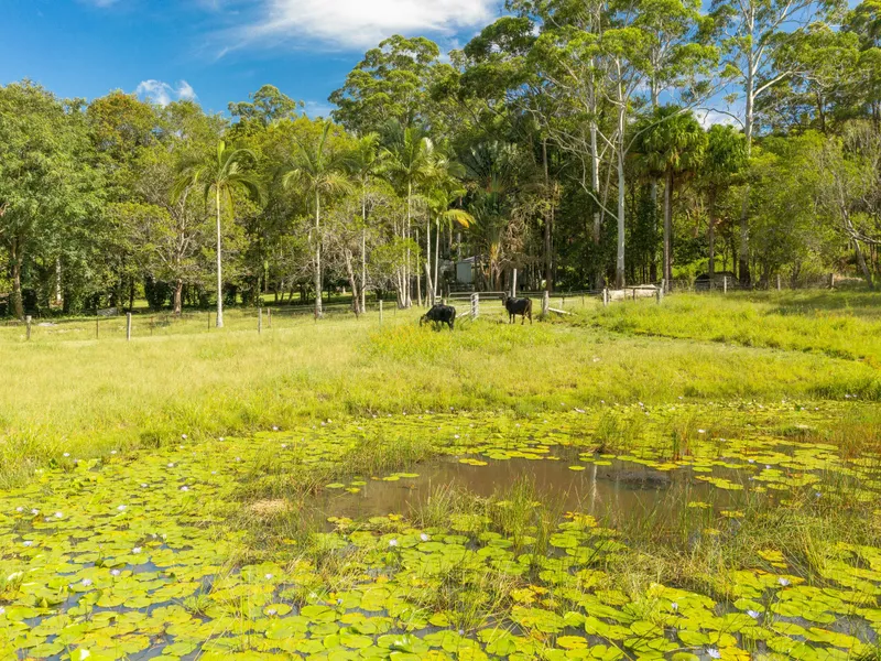 3.28 Acres of Useable Land