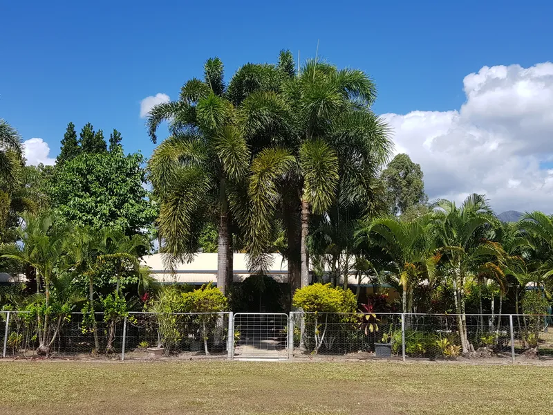 Colonial style three bedroom rural home with office, shed, carport, creek frontage & rainforest