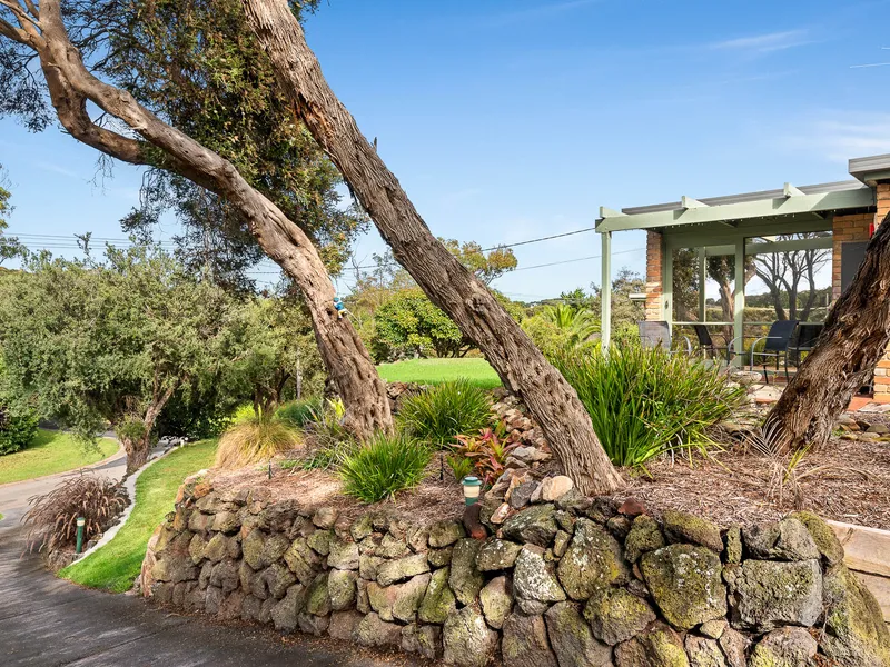 Rustic charm high above the treetops