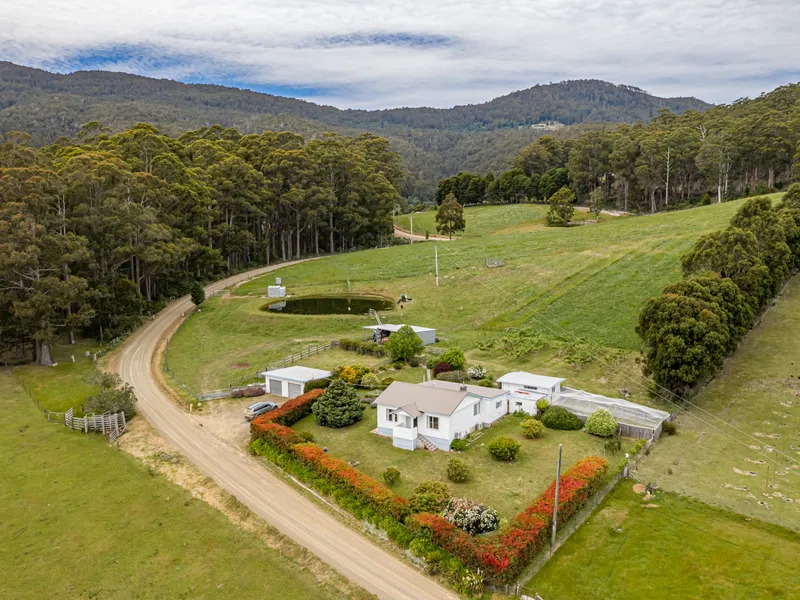Original Farmhouse on Fertile 9 Acres