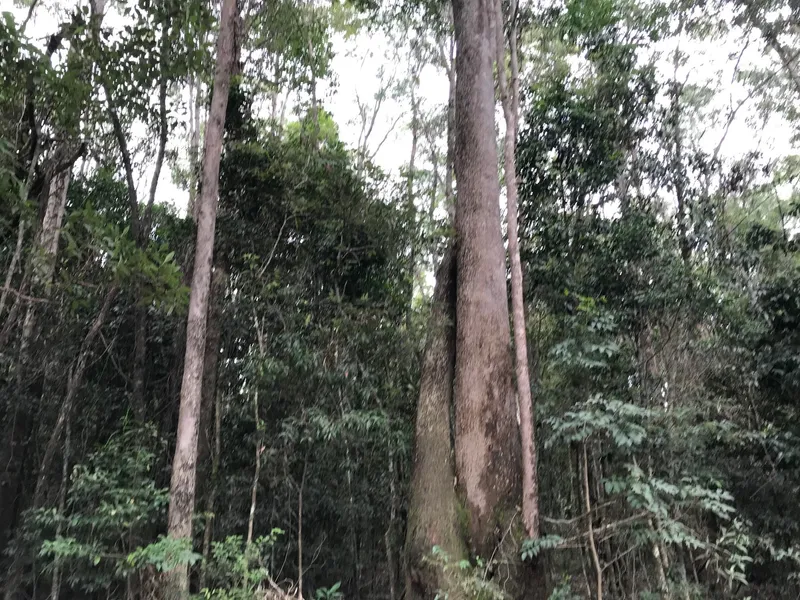 Nature Lovers Paradise