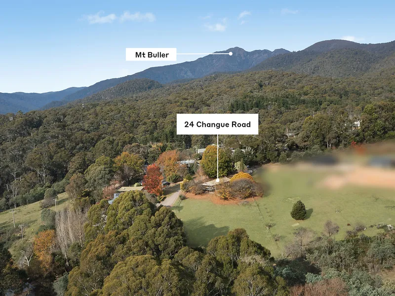 Exciting Opportunity at the Base of Buller
