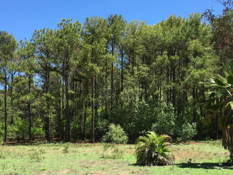 2464m2 with subdivision potential