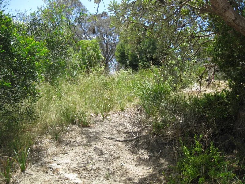 Close To The Beach, & Very Secluded.