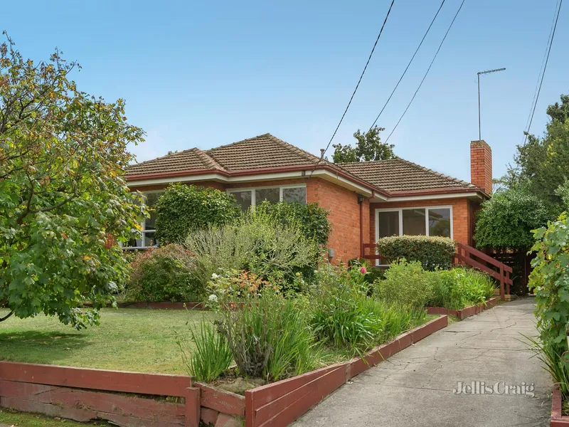 Original character with irresistible scope