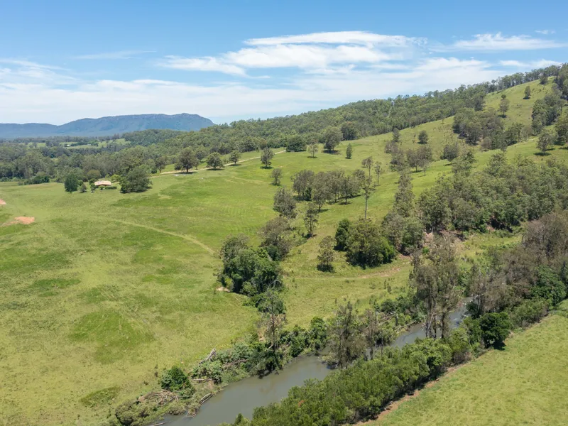 CATTLE, RIVER, HOMESTEAD