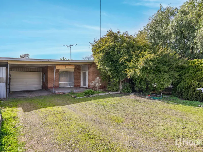 Fantastic Investment Opportunity!