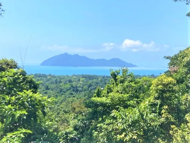 2 acres, ocean views...