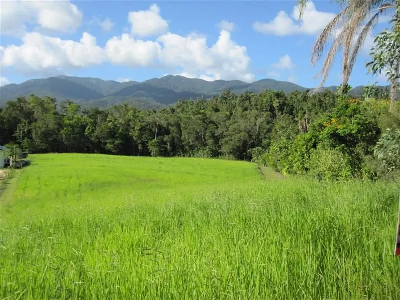 THIS COULD BE YOUR NEW BACKYARD