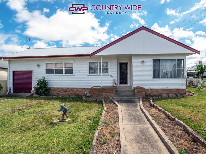 Renovators Delight