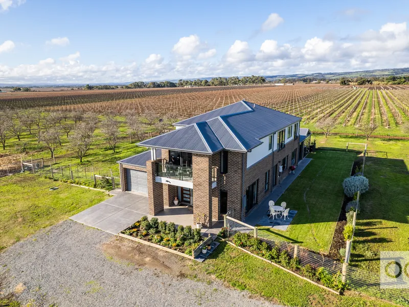 Calinga Estate Vineyard, premium 42 acre lifestyle property