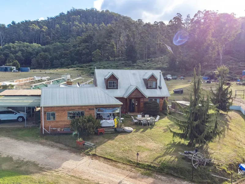 Large Split Home on Acreage