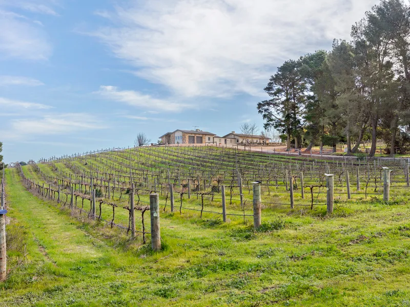 OUTSTANDING RARE ACERAGE BUILDING BLOCK (stcc) IN ANGASTON