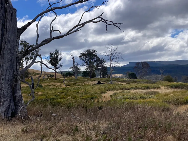 Spectacular, natural grazing and hunting property
