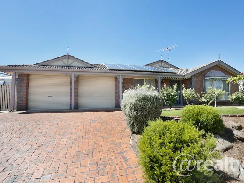 The one you've been looking for