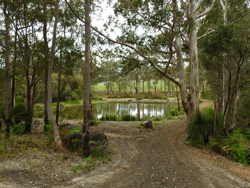 GREEN VALLEY VINEYARD - CELLAR DOOR - LIFESTYLE - INCOME - MARGARET RIVER WINE APPELLATION