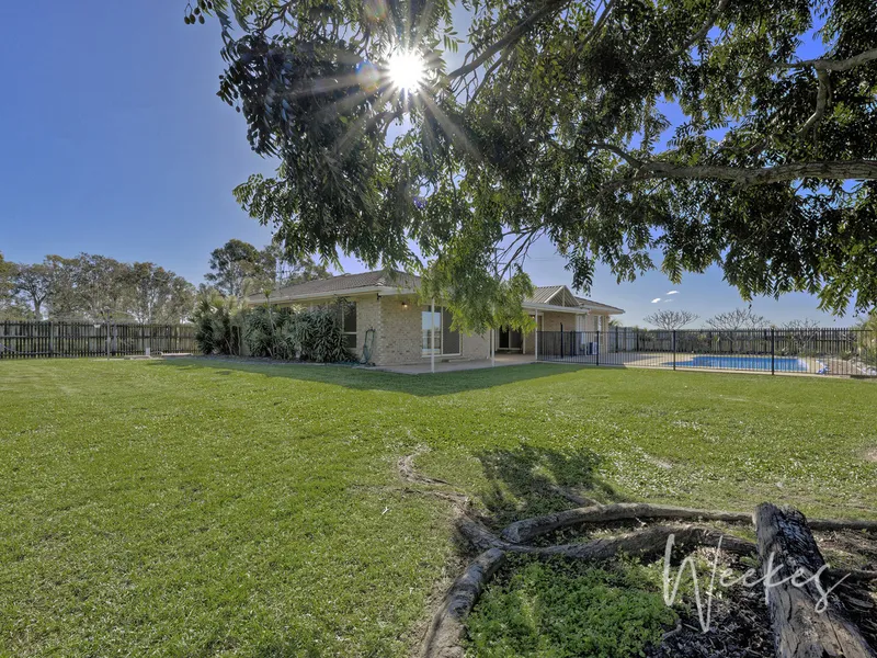 SPRING WILL NEVER LOOK SO GOOD