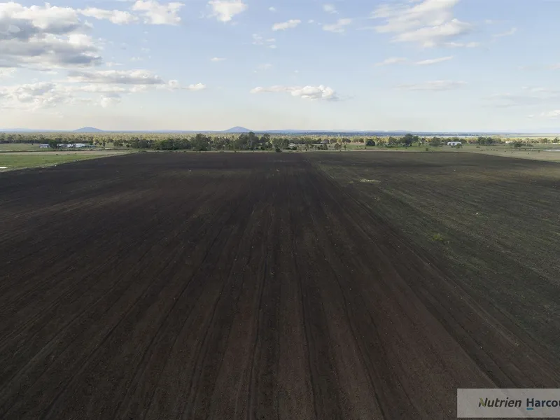 100 acres*, Cultivation, 105 Meg Allocation + Grazing Land!