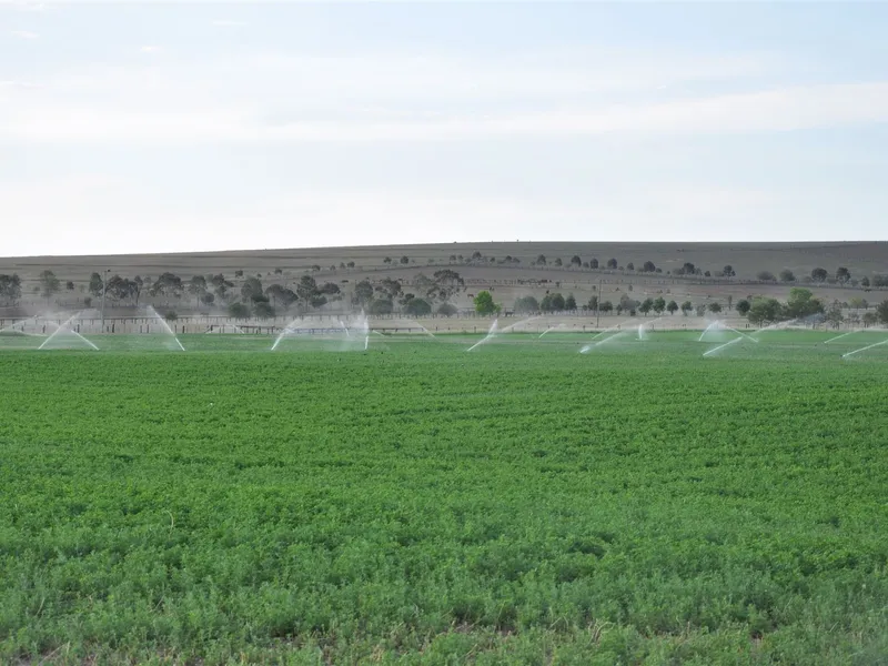 Prime irrigation property in the Segenhoe valley