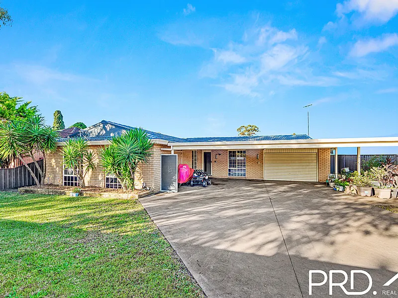 SPACE FOR THE WHOLE FAMILY