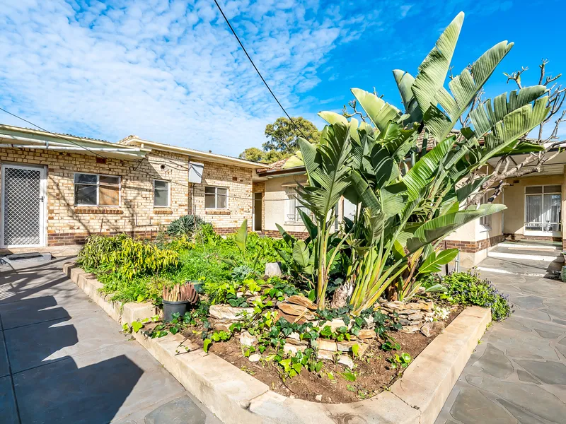 Potential Plus in Panorama!