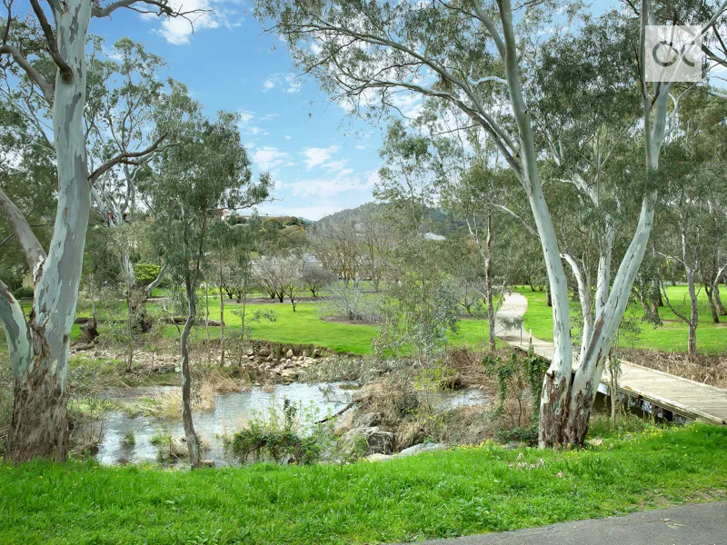 QUIET LOCATION, LEVEL LAND AND DIRECTLY ACROSS FROM LINEAR PARK, WHAT A PERFECT PLACE TO CALL HOME!