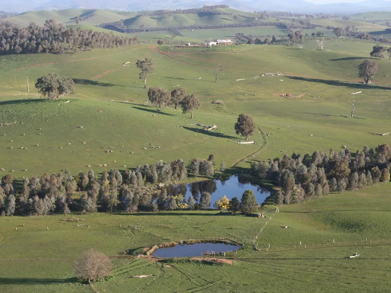 Rolling Hills . . . Unique Hill Top Homestead                                                     set on 122 Hectare