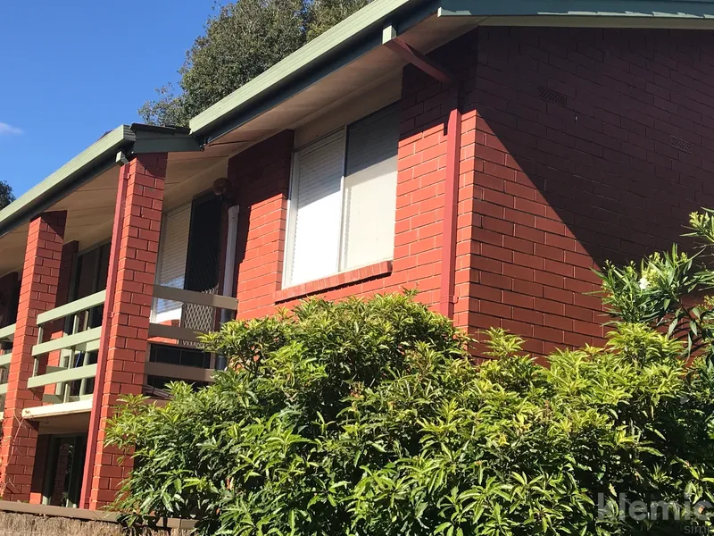 Sunny 1BR apartment in popular Norwood.
