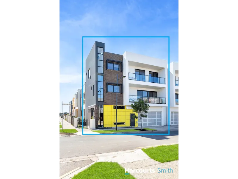 Living It Large @  Lightsview