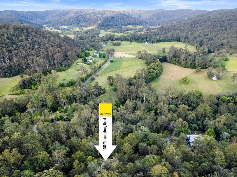 Treetops Retreat