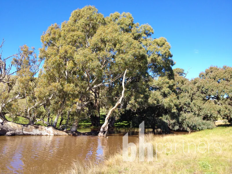 Escape the crowds to your own Picturesque Hills Property 208 Hectares - 513 Acres