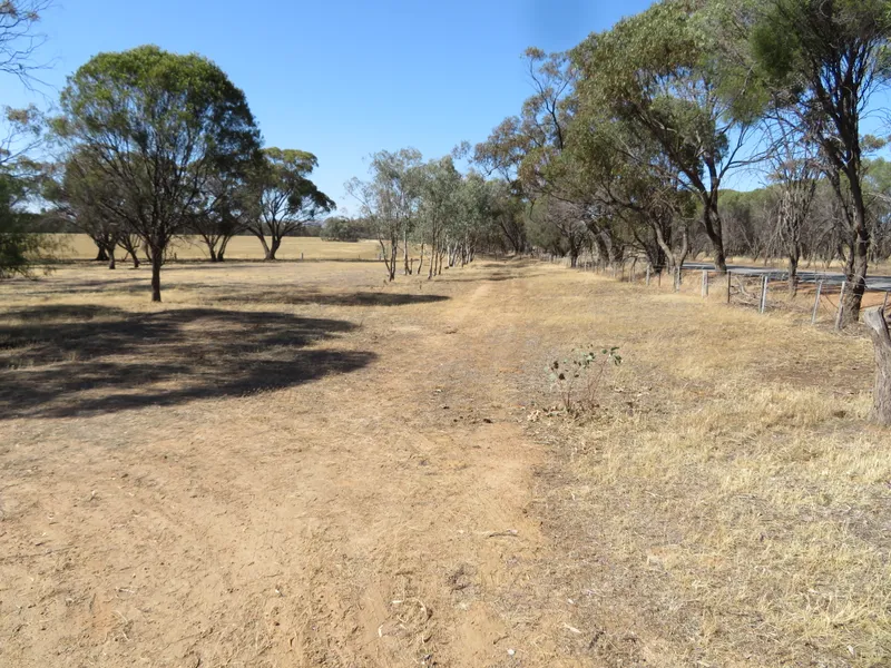 Lavendale Farm, Lifestyle, Hobby, Farm stay.