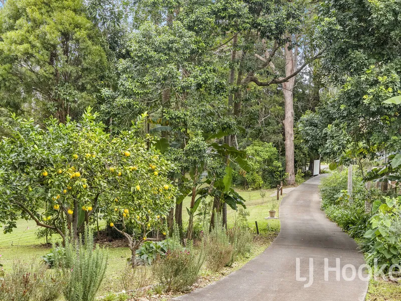 NOONAMEENA - RESTING PLACE IN THE BUSH