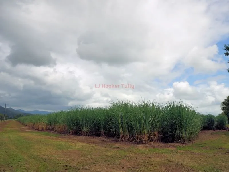GREAT LOCATION WITH BITUMEN ROAD FRONTAGE