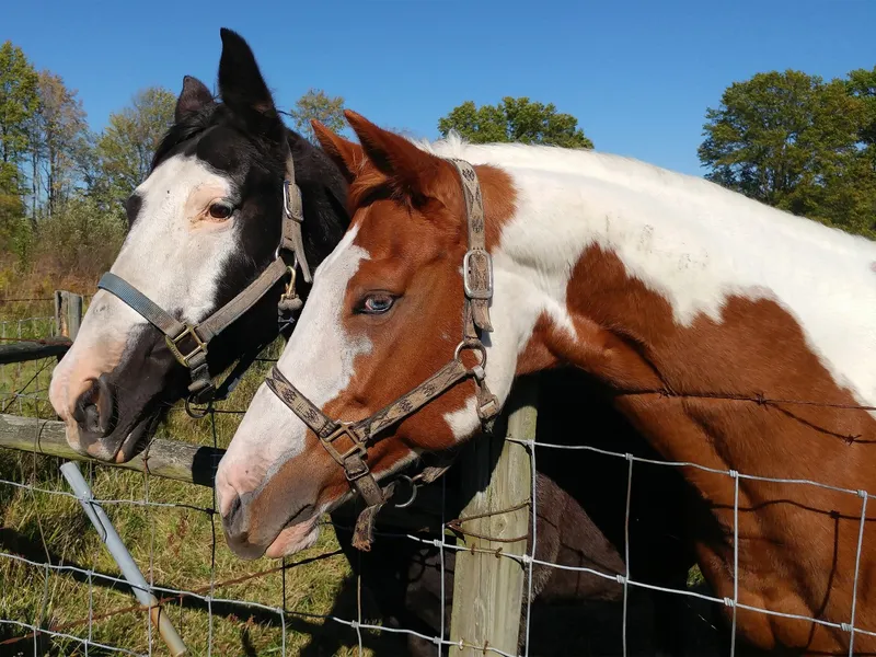 BUILD YOUR OWN PRIVATE ESTATE!