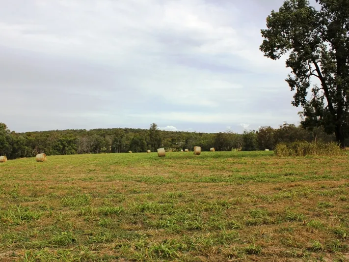 Productive Grazing with high potential & options.