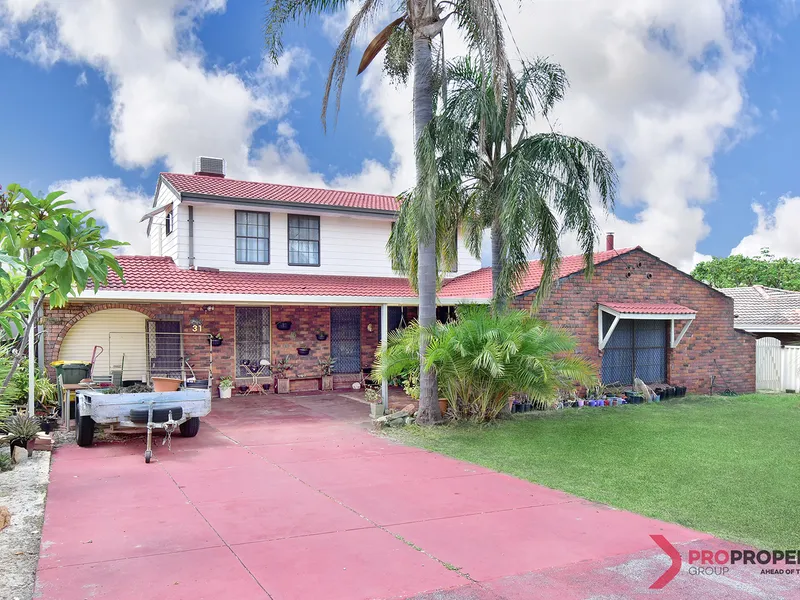 The Perfect Opportunity