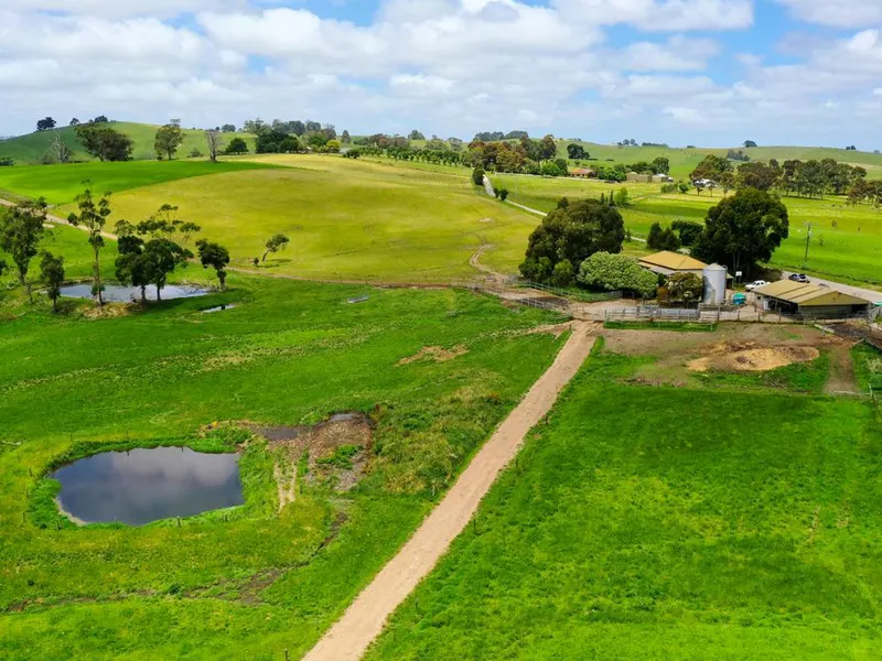 Highly Productive Dairy Farm