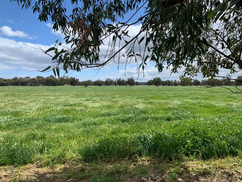 Bussell Highway Stratham, South West Classic 134 Ha (333 Ac)